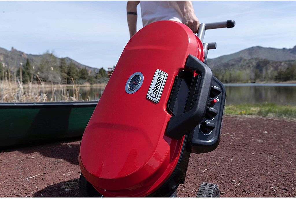 285 Portable Stand-Up Propane Grill