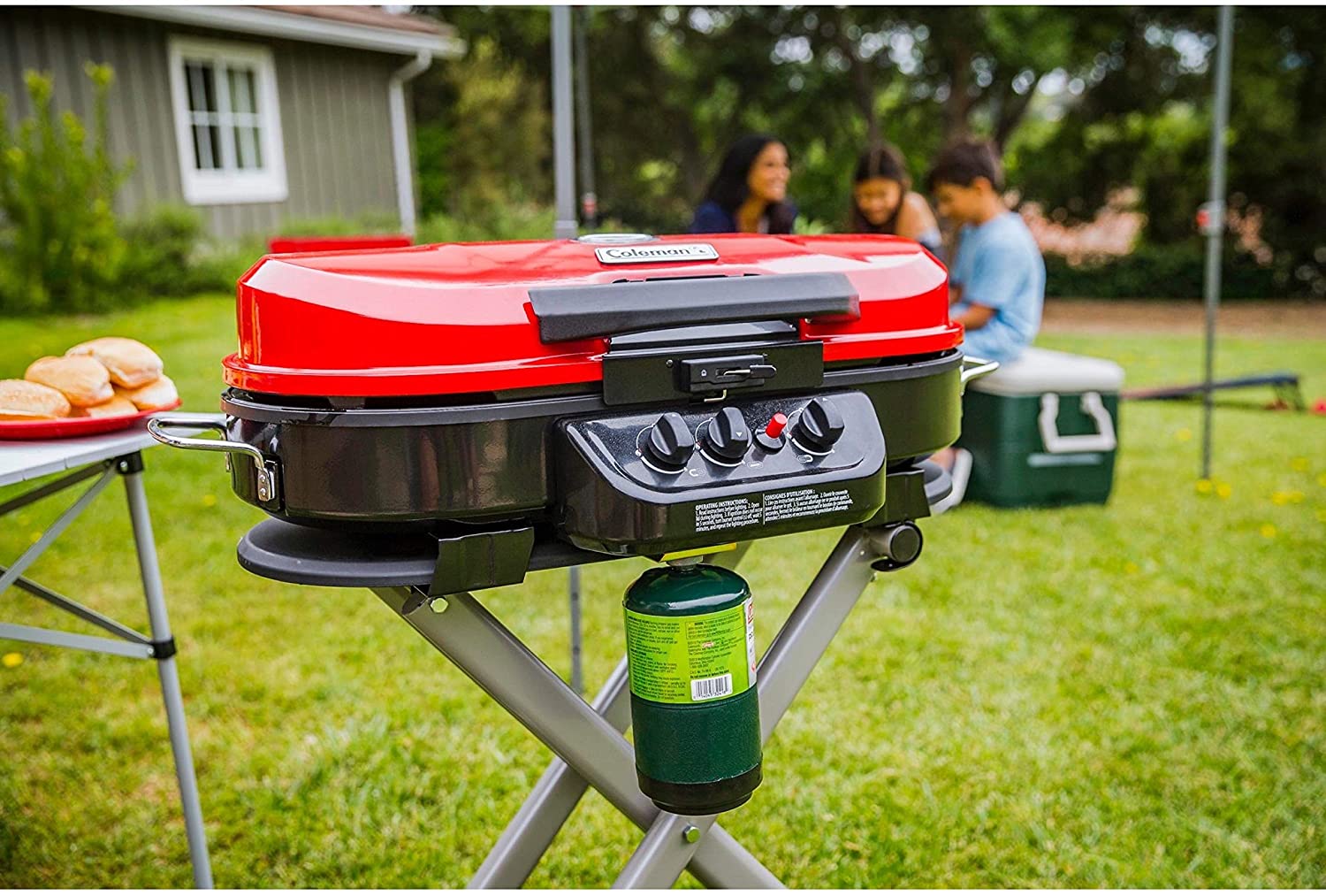 285 Portable Stand-Up Propane Grill