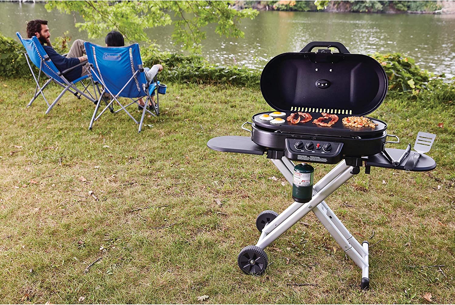 285 Portable Stand-Up Propane Grill